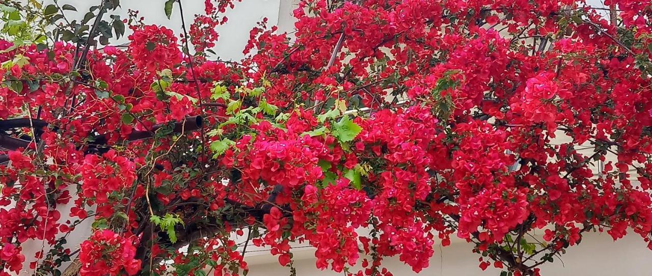 Stamatias Home, Fully Equipped Cottage 5 Minutes From The Sea Chania  Exteriör bild