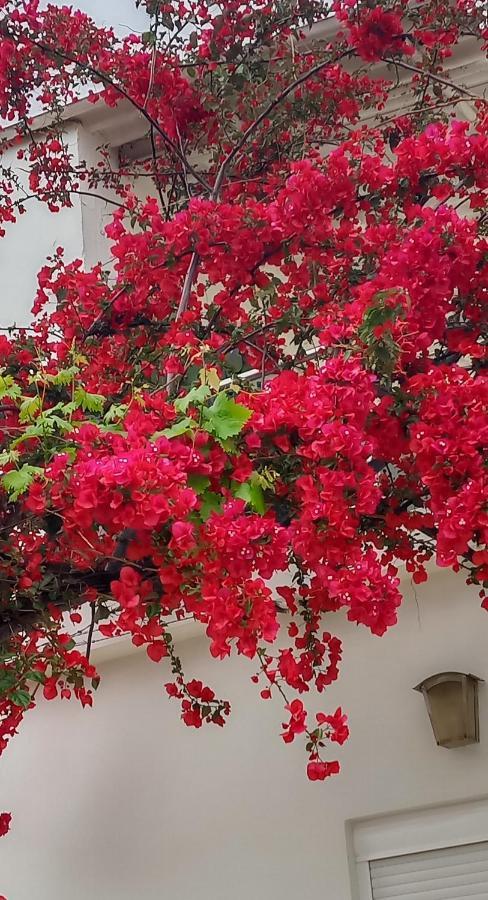 Stamatias Home, Fully Equipped Cottage 5 Minutes From The Sea Chania  Exteriör bild